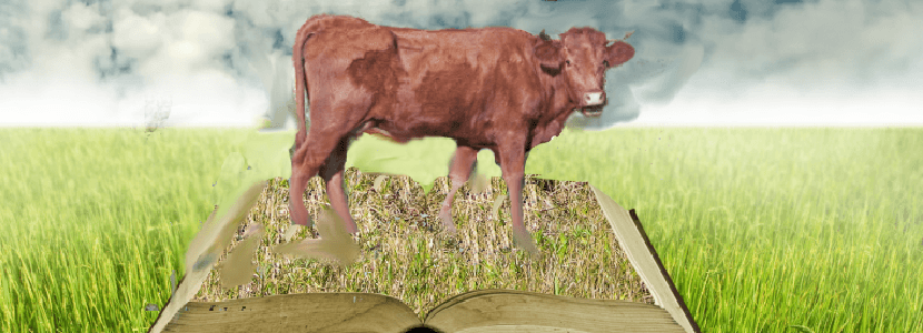 Ayudas para la conservación de las razas ganaderas