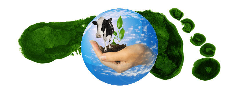 Emisión de GEI en los sistemas de producción de carne y cuero