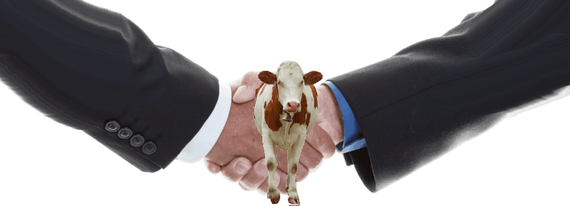 Las cooperativas ganaderas como impulsoras en el desarrollo del mundo rural