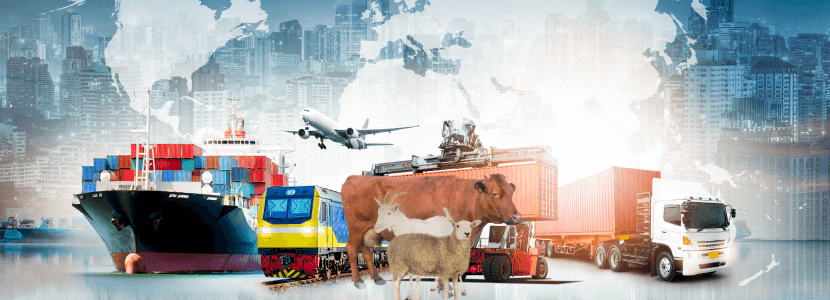 Incremento de las ventas a exterior en el primer semestre del año