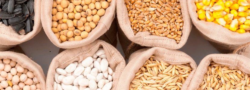 Previsión materias primas alimentación animal octubre: final de año con precios consolidados
