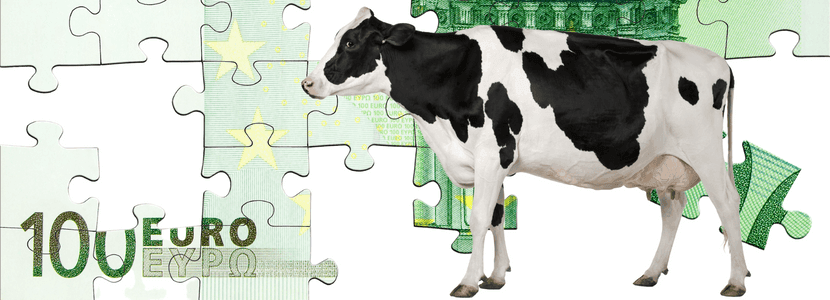 Se sacrifican más de 6000 vacas por la subida de precios