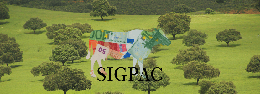 El MAPA publica la información sobre las regiones de pago para la renta de la nueva PAC