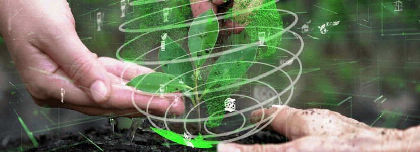 Sostenibilidad como concepto clave del futuro del sector