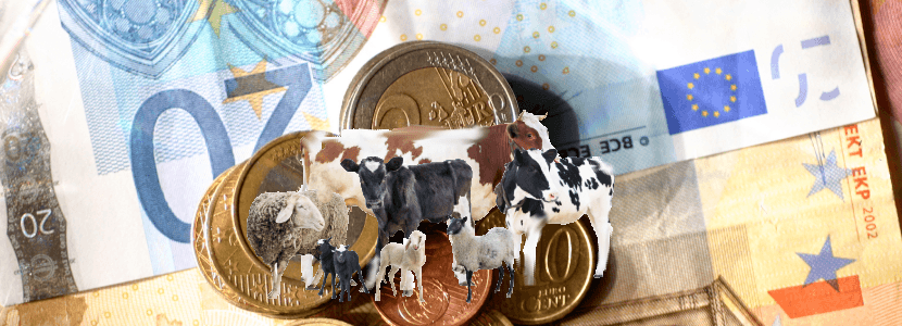 Solicitan el anticipo del 70% de las ayudas a la ganadería