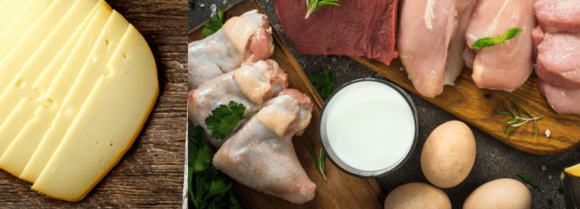 Estudio tilda a la proteína como nutriente esencial en el desayuno