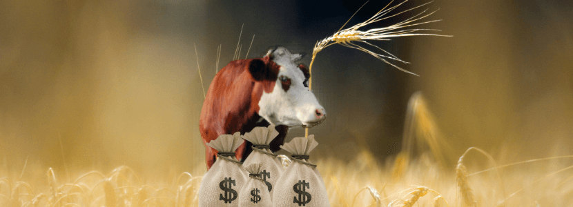 44º Plan de Seguros Agrarios Combinados