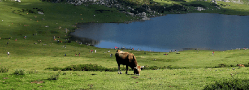 Nuevo Centro Europeo de Referencia de Razas Animales en Peligro