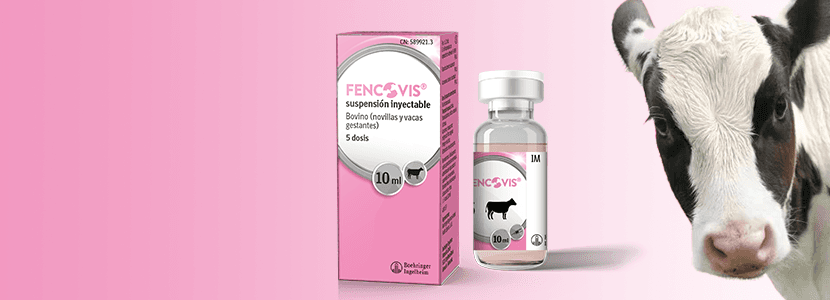 Boehringer Ingelheim lanza la vacuna Fencovis® para prevenir la diarrea en terneros