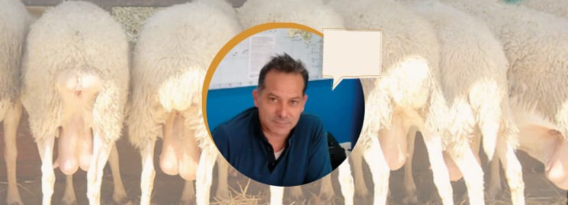 Entrevista a Fernando Freire - Situación actual del manejo reproductivo en el sector ovino