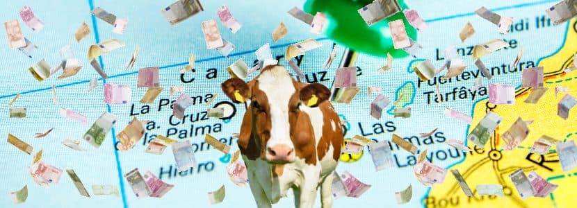La ganadería canaria sufre una crisis importante