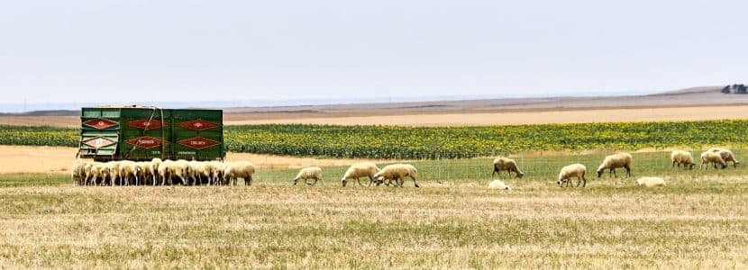 Últimas normas necesarias para la aplicación de la nueva PAC