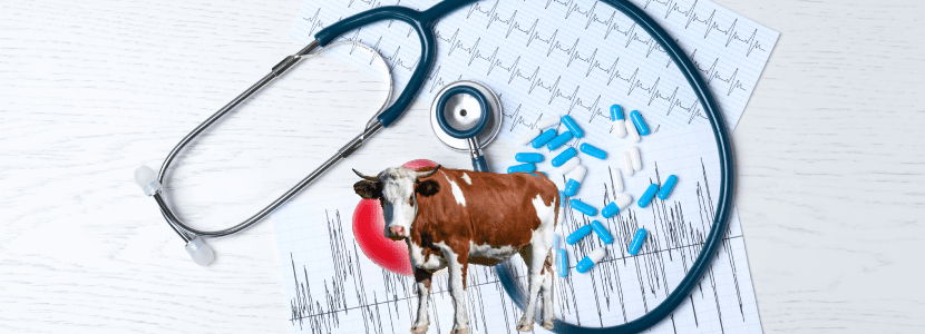 Marco de actuación para un uso sostenible de antibióticos