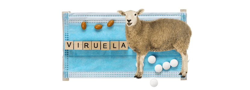 ¿Cómo se encuentra la viruela ovina en España a finales de Noviembre?