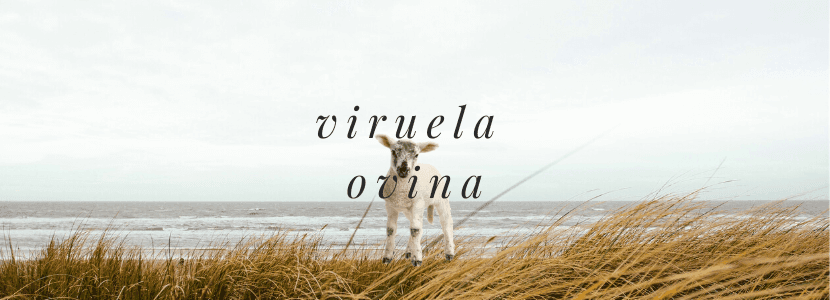 Línea de apoyo por la Viruela Ovina