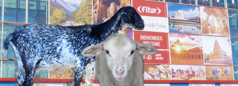 El ganado selecto español llega a FITUR