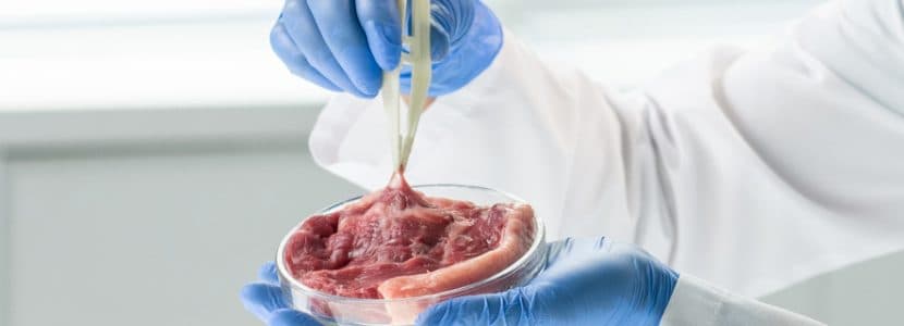 Médicos defienden una bajada del IVA en la carne