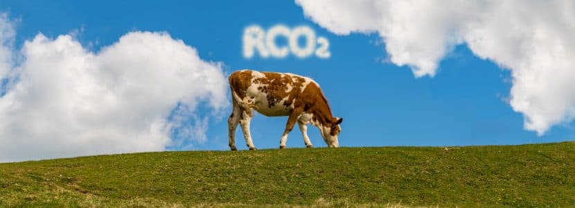 Utilidad del RCO₂ como indicador de la eficiencia alimentaria