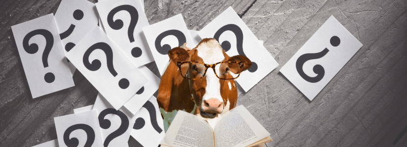 El consumo diario de leche ofrece numerosos beneficios para la salud