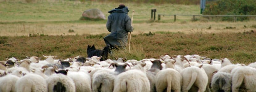 Cantabria participa en el proyecto ECOSPAS