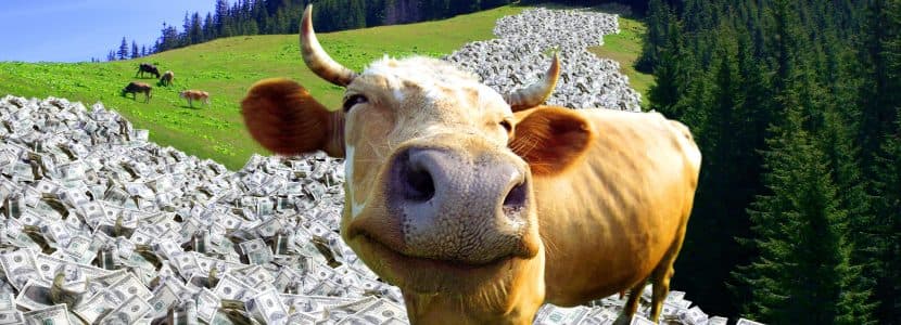 Ayudas para la adquisición de animales de reposición en La Rioja