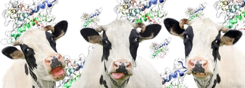 WOAH confirma un caso de encefalopatía espongiforme bovina