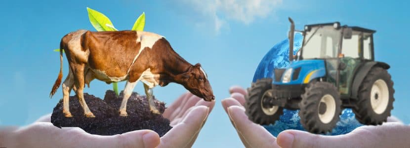 Incorporación progresiva de la gestión ambiental en las granjas