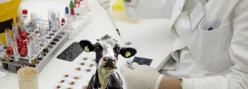 Laboratorio Central de Algete Centro de Referencia de Genética Animal