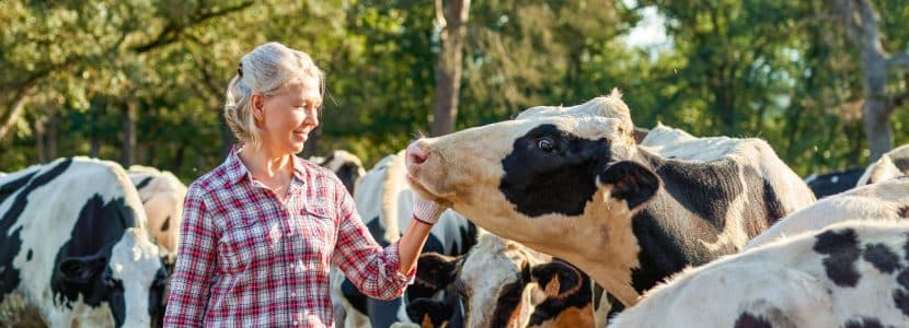XIV Premios de Excelencia a la Innovación para Mujeres Rurales