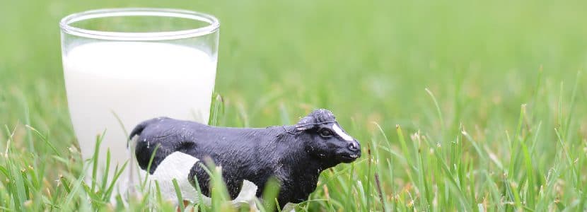Global Dairy Platform motiva a los ganaderos a participar en el Día de la Leche