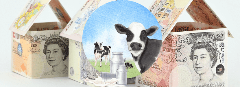 Guía de acceso al mercado del Reino de Productos de Origen Animal