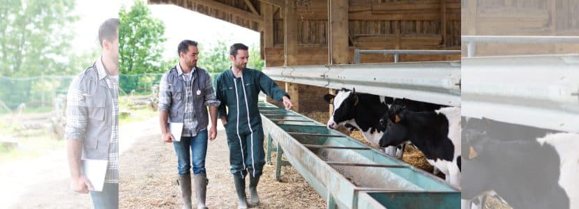 Real Decreto que desarrolla la figura del veterinario de explotación