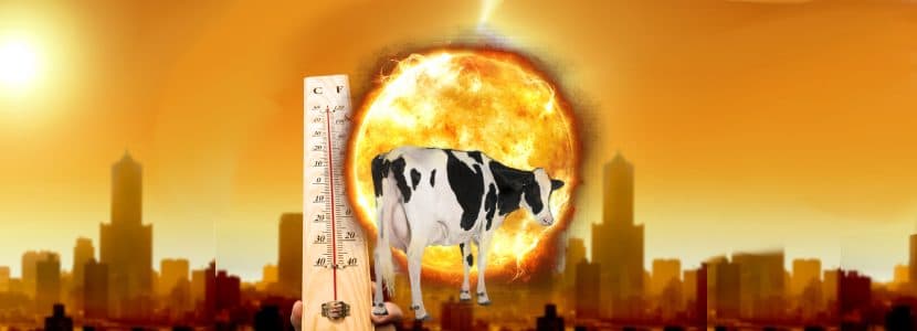 ¿Qué genes contribuyen a una mayor tolerancia al calor?