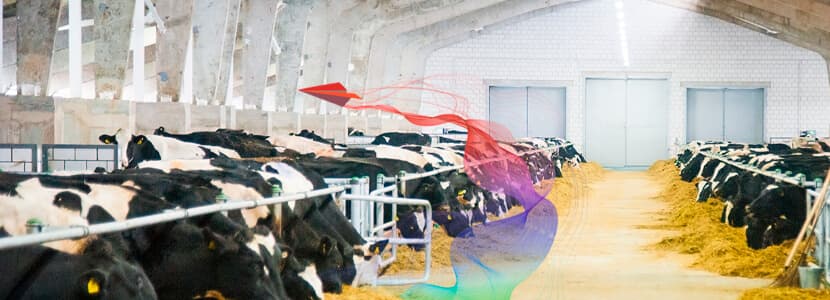 Plantando cara al estrés por calor en vacuno de leche