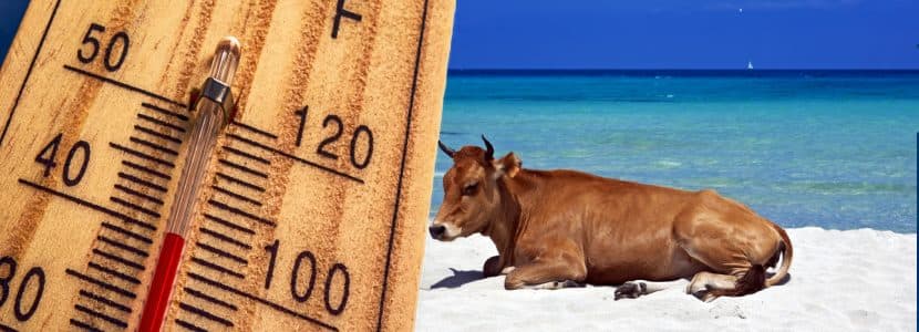 COAG inicia una campaña para prevenir golpes de calor en las actividades agrarias