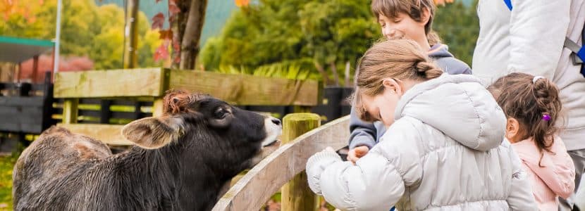 COAG lanza una campaña de formación sobre el sector agrario en los colegios