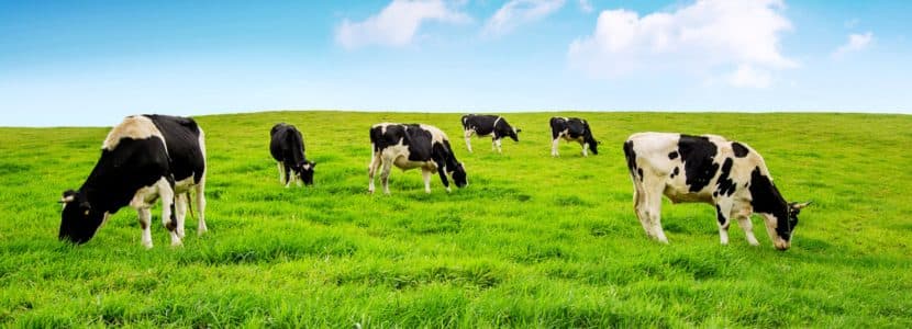 Las explotaciones agrarias catalanas perderan competitividad por la decisión del DACC