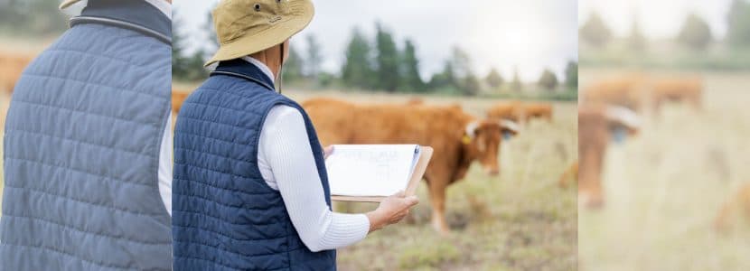 El sector ganadero a favor del bienestar animal