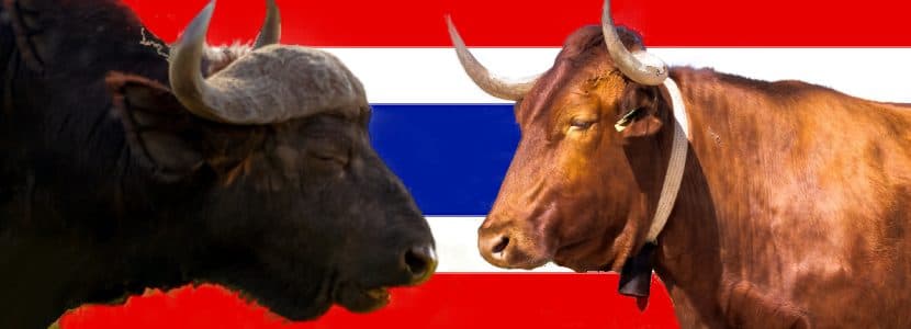 España logra la autorización para exportar carne de vacuno a Tailandia