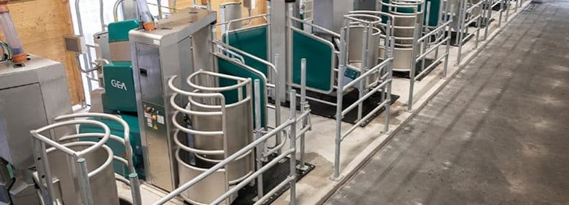 Una docena de robots GEA para el primer Batch Milking de Castilla y León