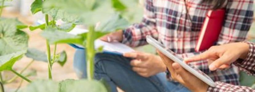 El Ministerio concede ayudas a 916 explotaciones agrarias de titularidad compartida
