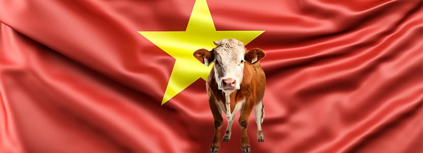 PROVACUNO culmina en Vietnam su campaña en el Sudeste Asiático