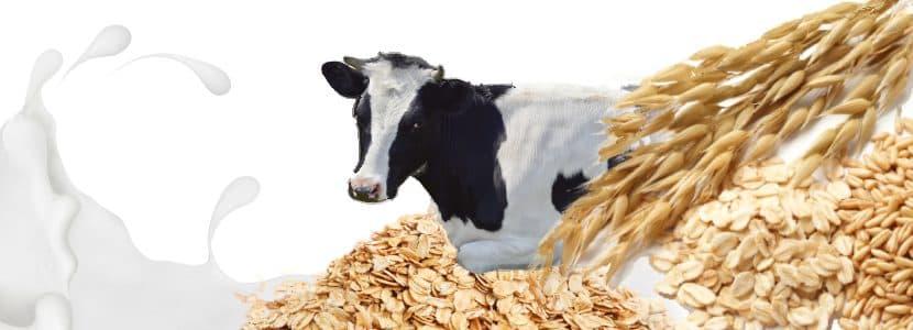 Calidad nutricional inferior de las bebidas vegetales