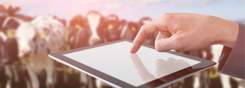 COAG abre un debate sobre el modelo de ganadería necesario