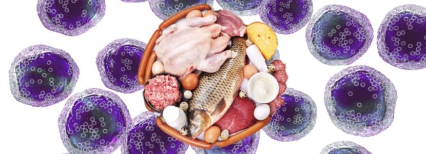 La carne y los lácteos ayudan a combatir el cáncer