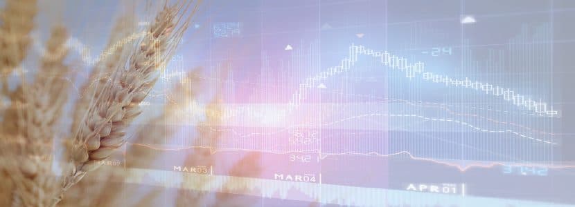 Informe materias primas febrero - Iniciamos el año con tendencia bajista