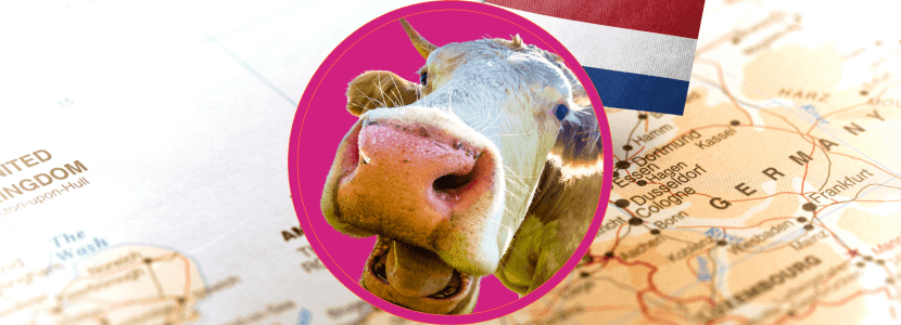 Alimentar al mundo: Una perspectiva lechera