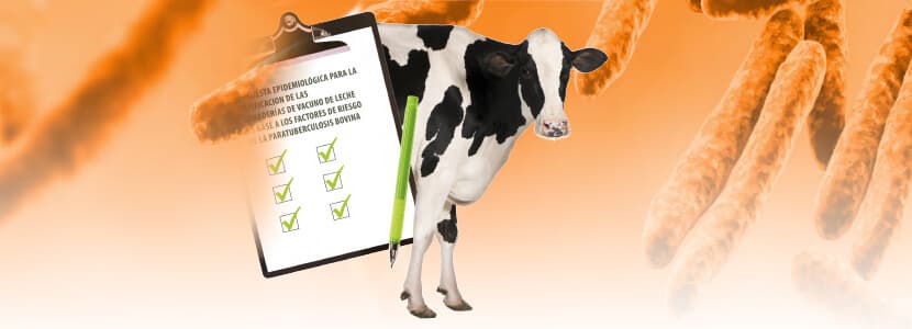 Diseño y aplicación de un cuestionario epidemiológico como herramienta para el control de la paratuberculosis bovina