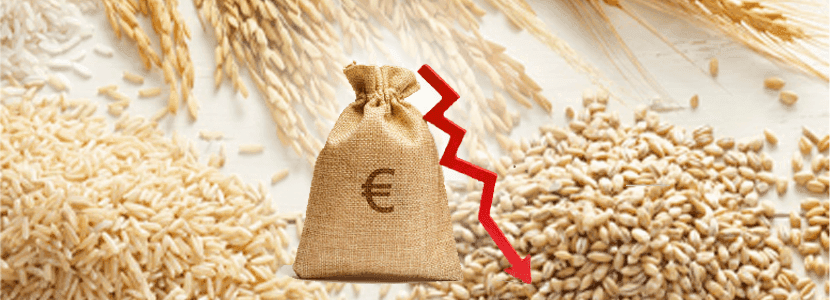 Hemos tocado un primer suelo tras la fuerte bajada de precios. A partir de ahora ¿qué?