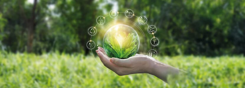 Producción ecológica y sostenibilidad